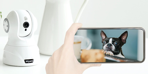 離れた場所から室内の様子をスマホで確認できる「ネットワークカメラ」